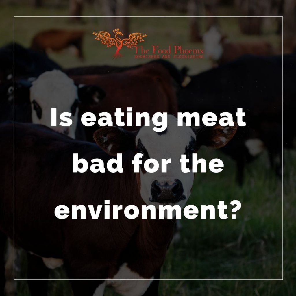 Is eating meat bad for the environment? White lettering on background of cattle in a field