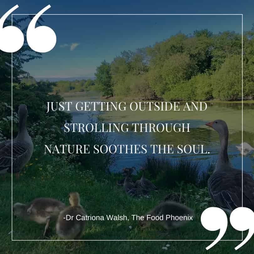 Just getting outside and strolling through nature soothes the soul (Belfast park with goslings in Northern Ireland) - Quote