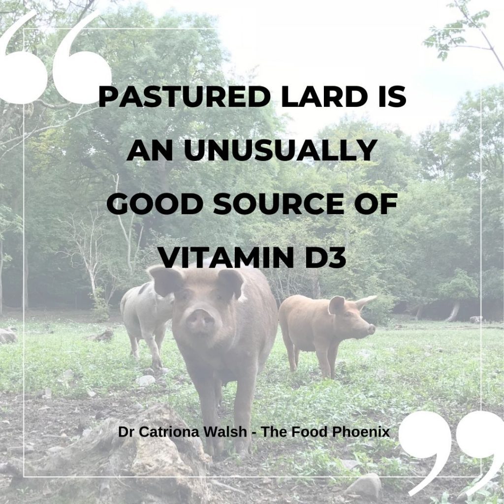 A byproduct of the recipe for pork rinds, Pastured lard is an unusually good source of vitamin D3
