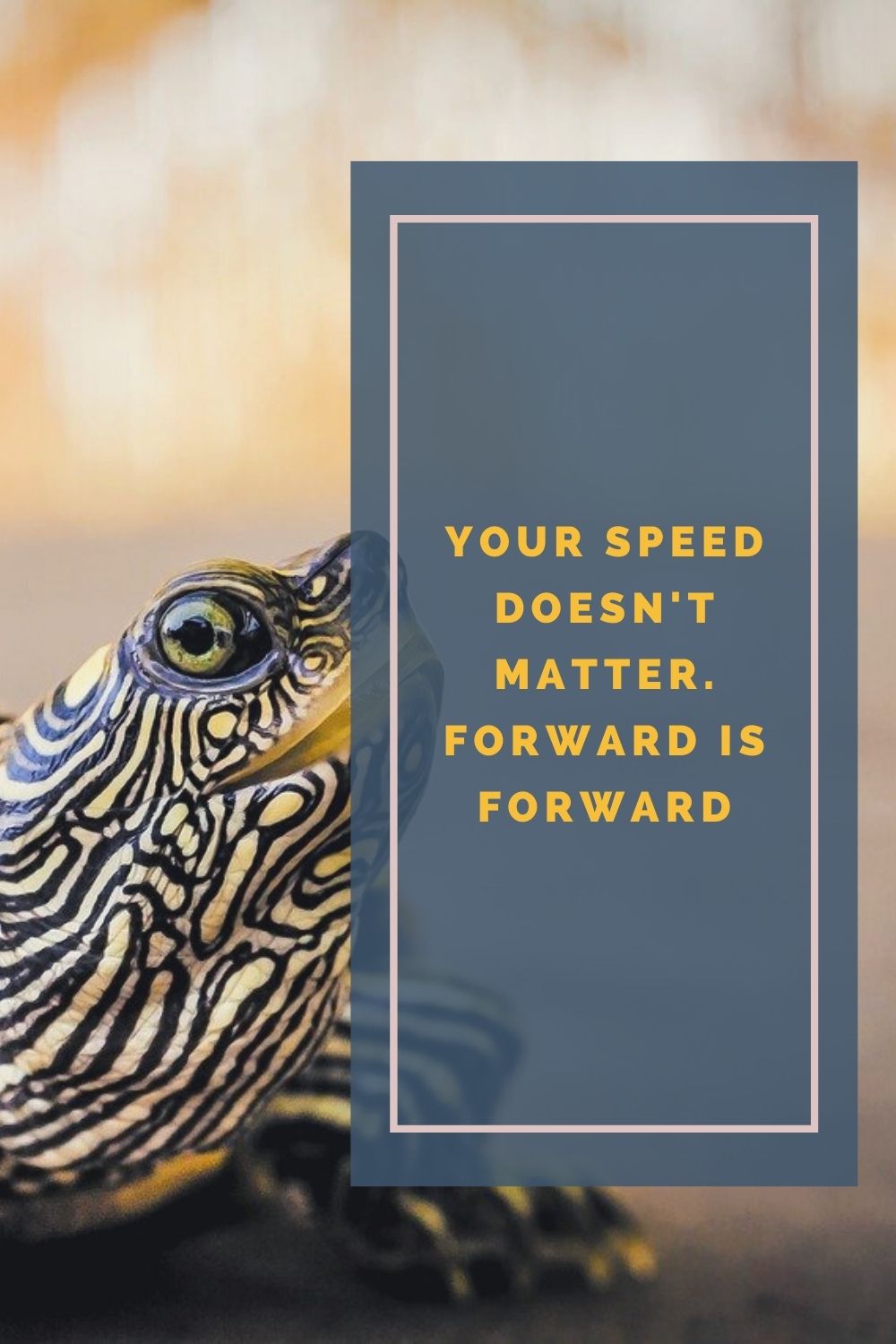 Your speed doesn't matter. Forward is forward