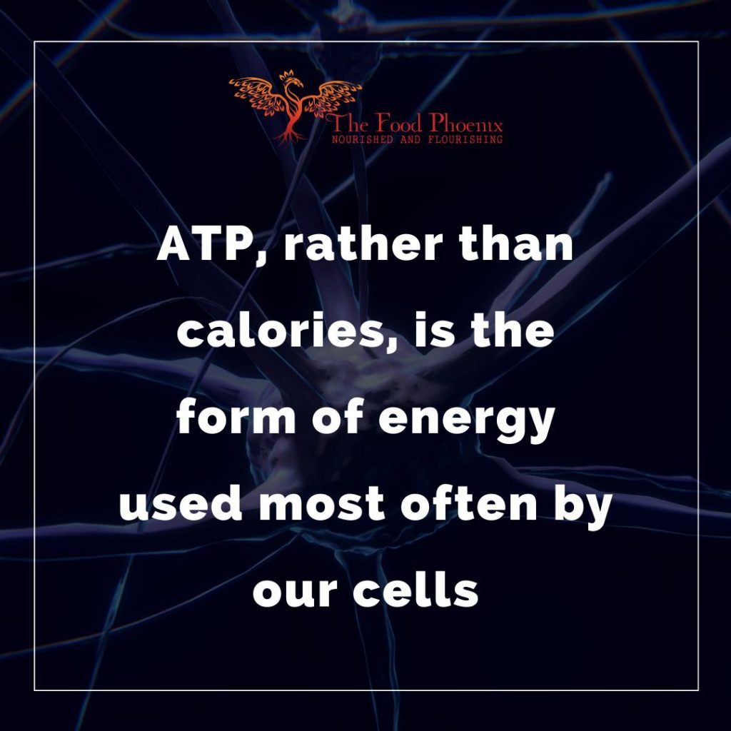 ATP, rather than calories, is the form of energy used most often by our cells – white writing with neurones in the background