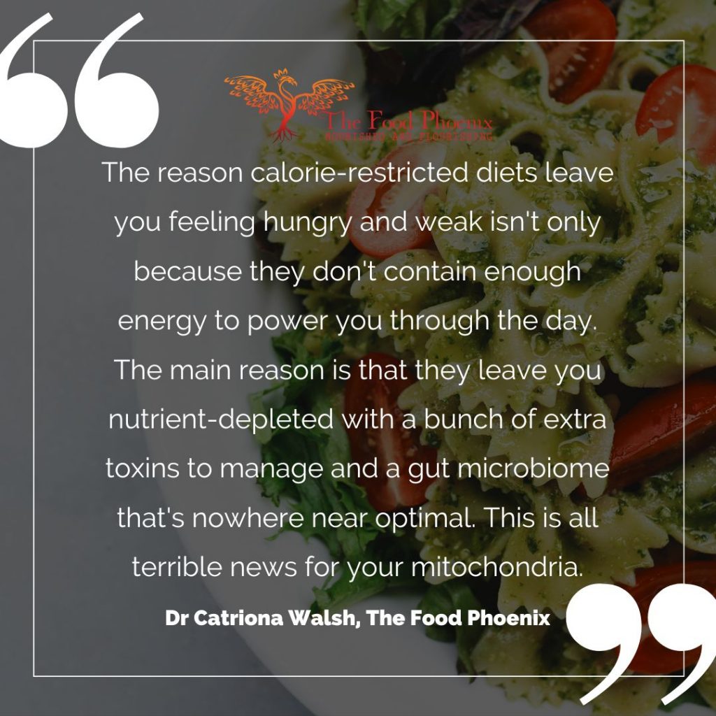 the reason calorie-restricted diets leave you feeling hungry and weak quote