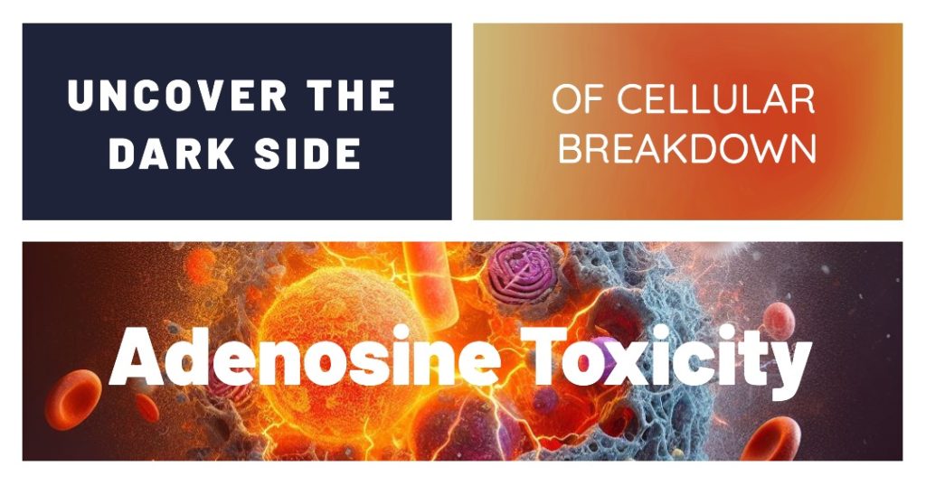 Adenosine toxicity: uncover the dark side of cellular breakdown